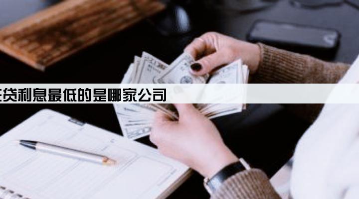 车主贷利息最低的是哪家公司