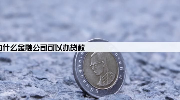 为什么金融公司可以办贷款