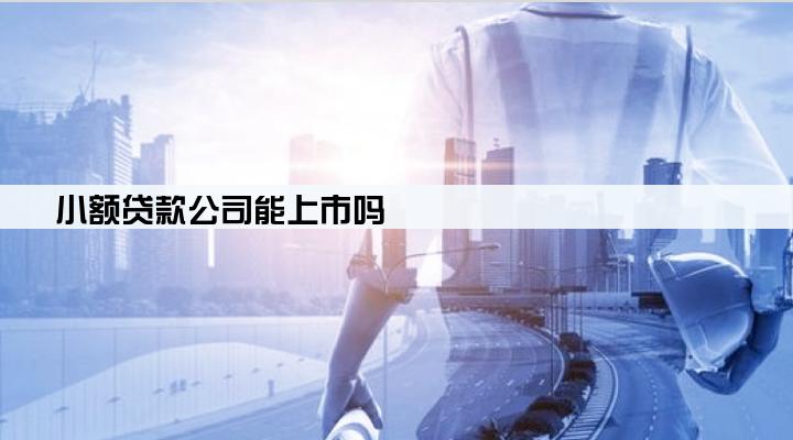 小额贷款公司能上市吗