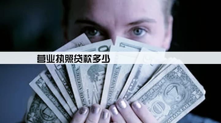 营业执照贷款多少