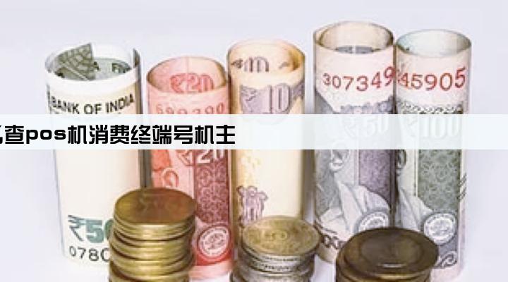 怎么查pos机消费终端号机主