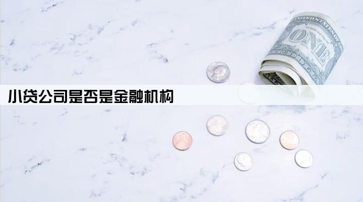 小贷公司是否是金融机构