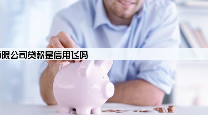 上海晓途网络科技有限公司贷款是信用飞吗