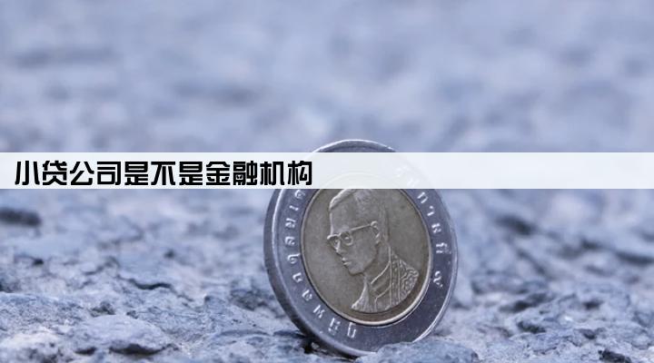 小贷公司是不是金融机构