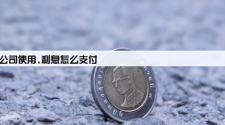 子公司贷款给母公司使用,利息怎么支付