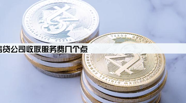 信贷公司收取服务费几个点