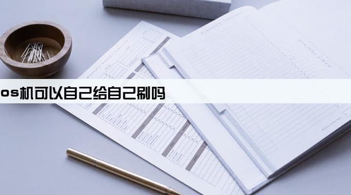 pos机可以自己给自己刷吗