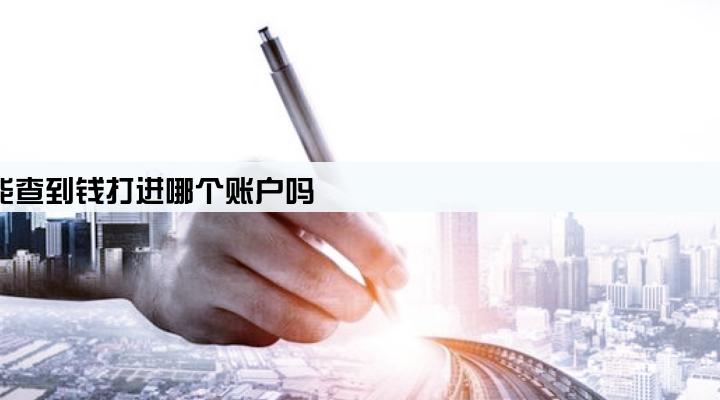 用pos机刷卡能查到钱打进哪个账户吗