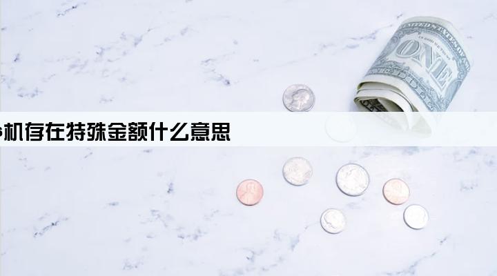 pos机存在特殊金额什么意思