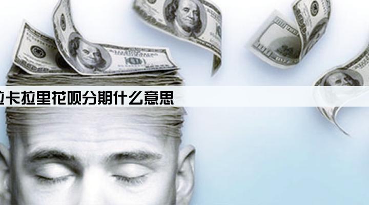 拉卡拉里花呗分期什么意思