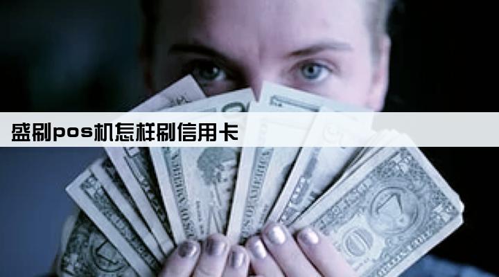 盛刷pos机怎样刷信用卡