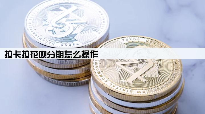 拉卡拉花呗分期怎么操作
