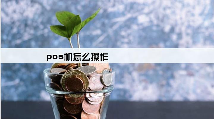 pos机怎么操作
