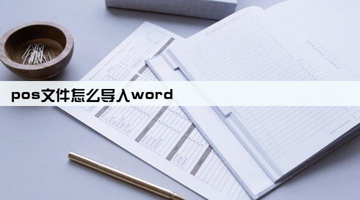 pos文件怎么导入word