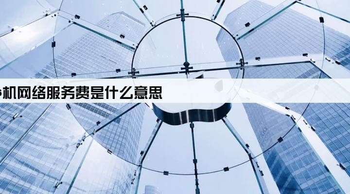 pos机网络服务费是什么意思