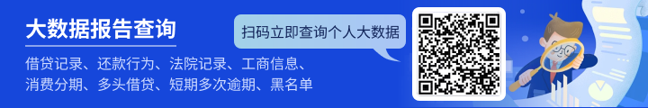 大数据报告查询
